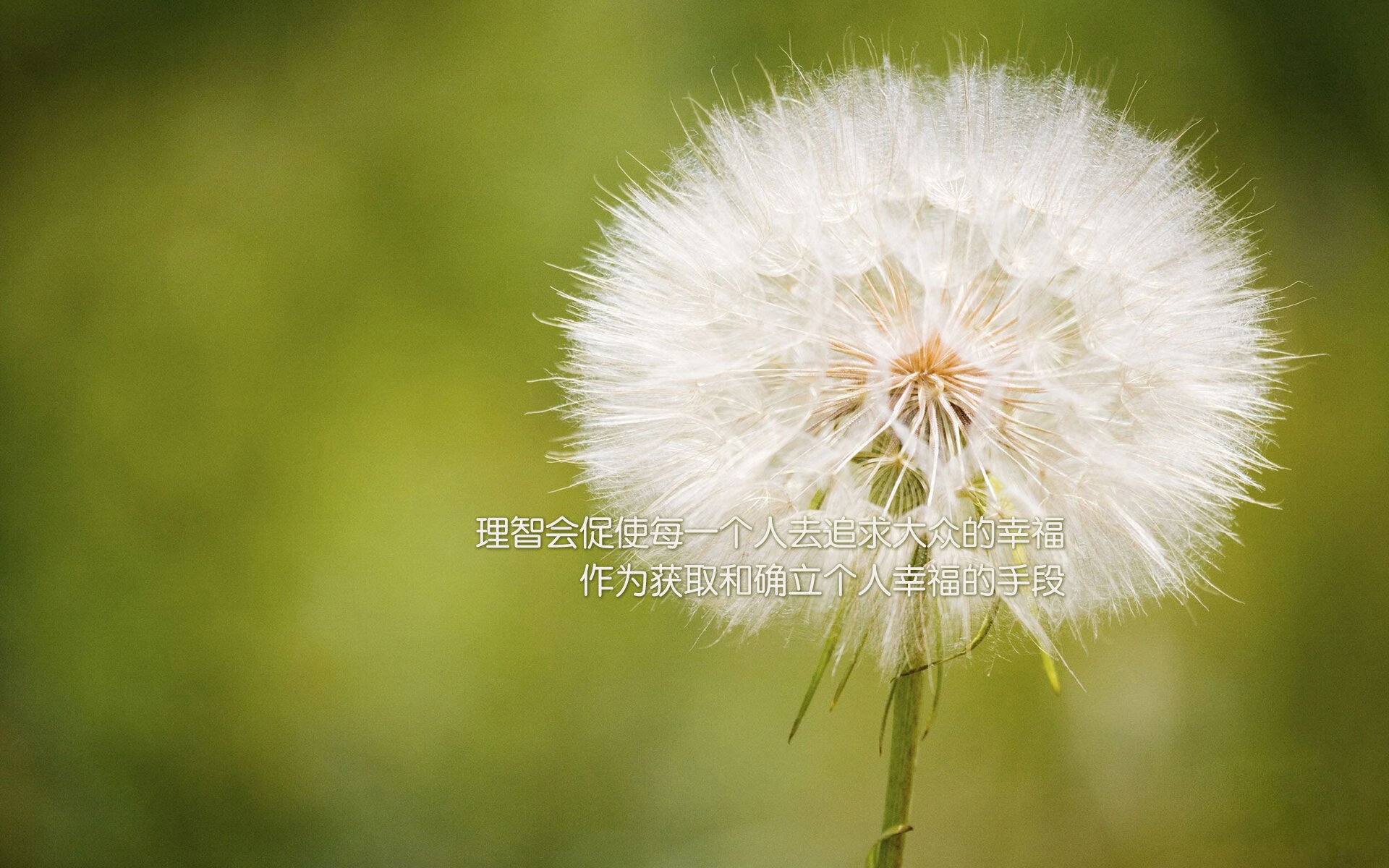 迈阿密国际中场核心伤愈复出，助力球队冲击冠军，国际迈阿密队球员