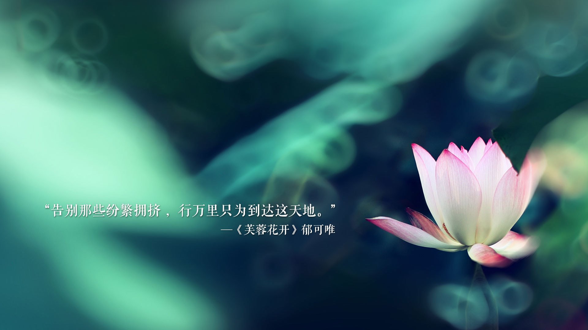 门兴格拉德巴赫球员伤愈回归，球队迎来转折，门兴格拉德巴赫是什么意思