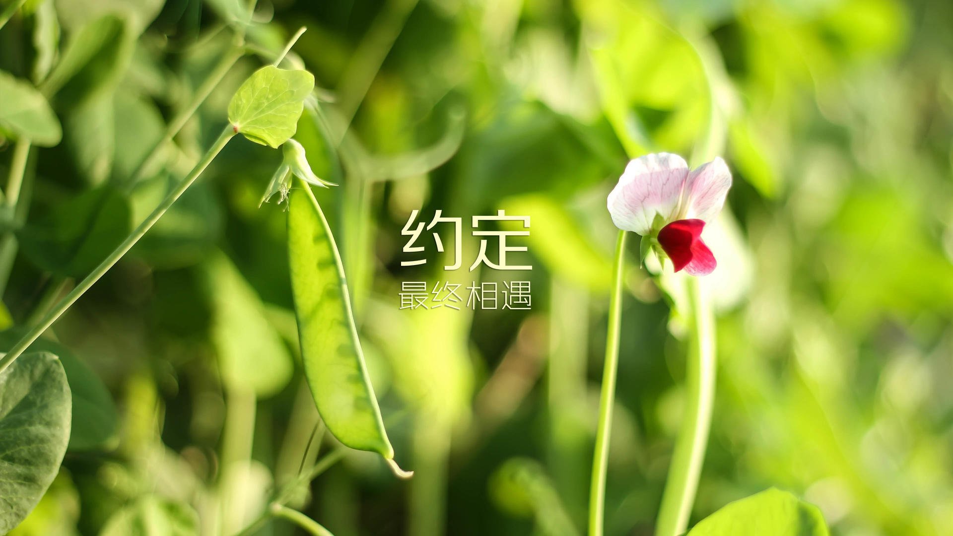 九游登录入口-CBA联盟整合青训体系打造人才通道，cba青训队与cba选秀