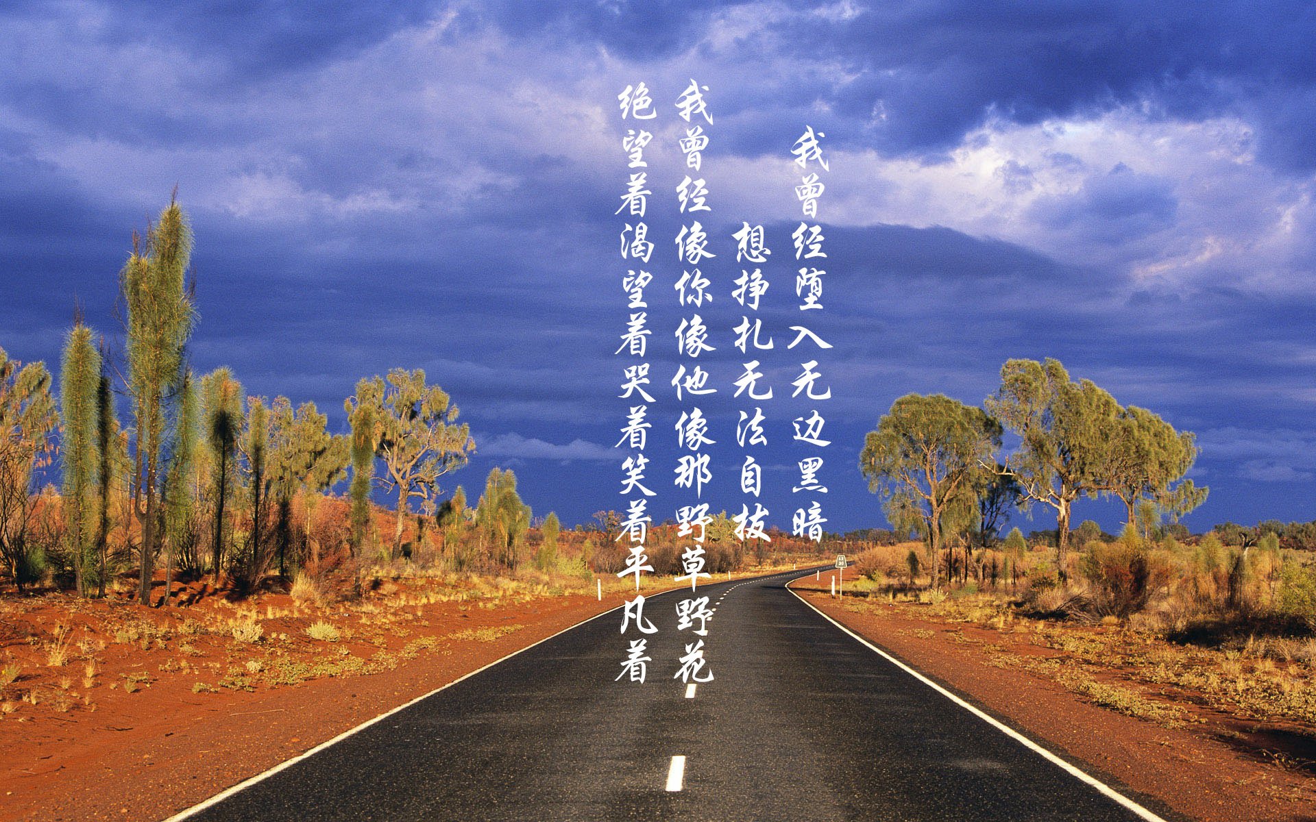 美洲杯激情夜晚:逆境中迎来最璀璨的明星时刻,美洲杯精彩