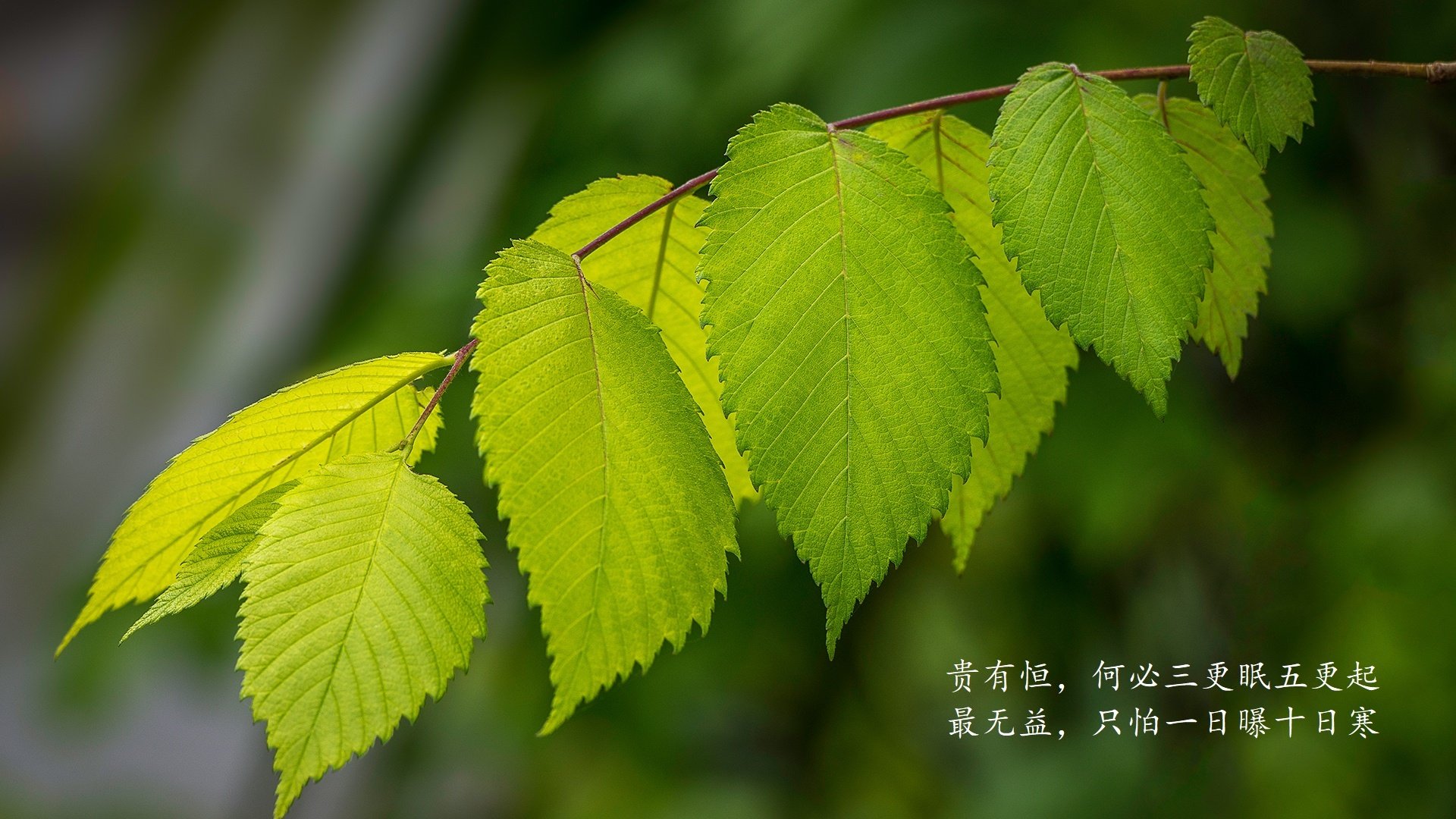 九游电脑版-詹姆斯训练后回应休赛期交易传闻，詹姆斯再次伤退