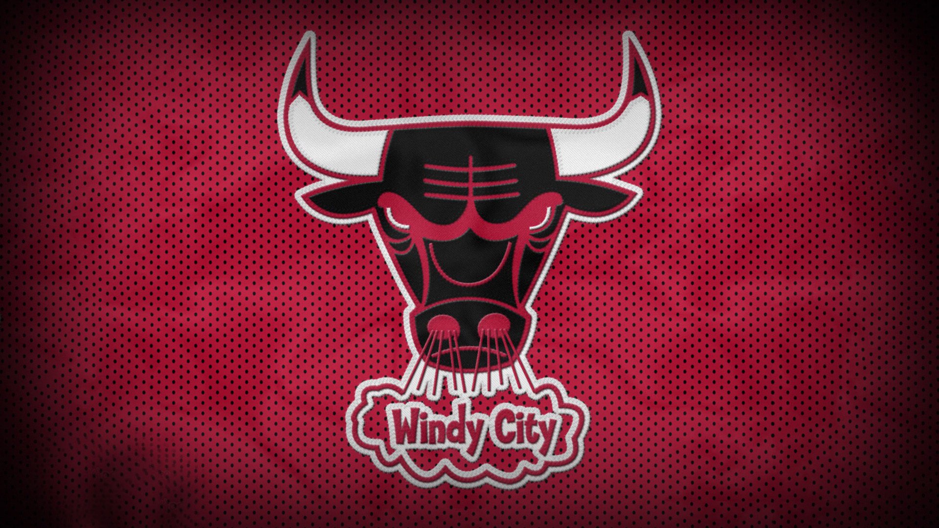 荷兰马术协会与非洲马术协会开展技术援助项目，提升当地水平。